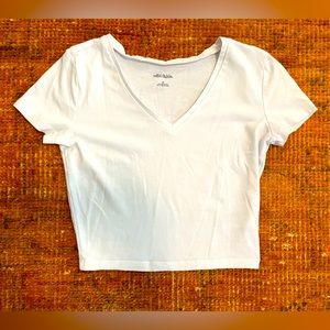 Wild Fable v-neck cropped top